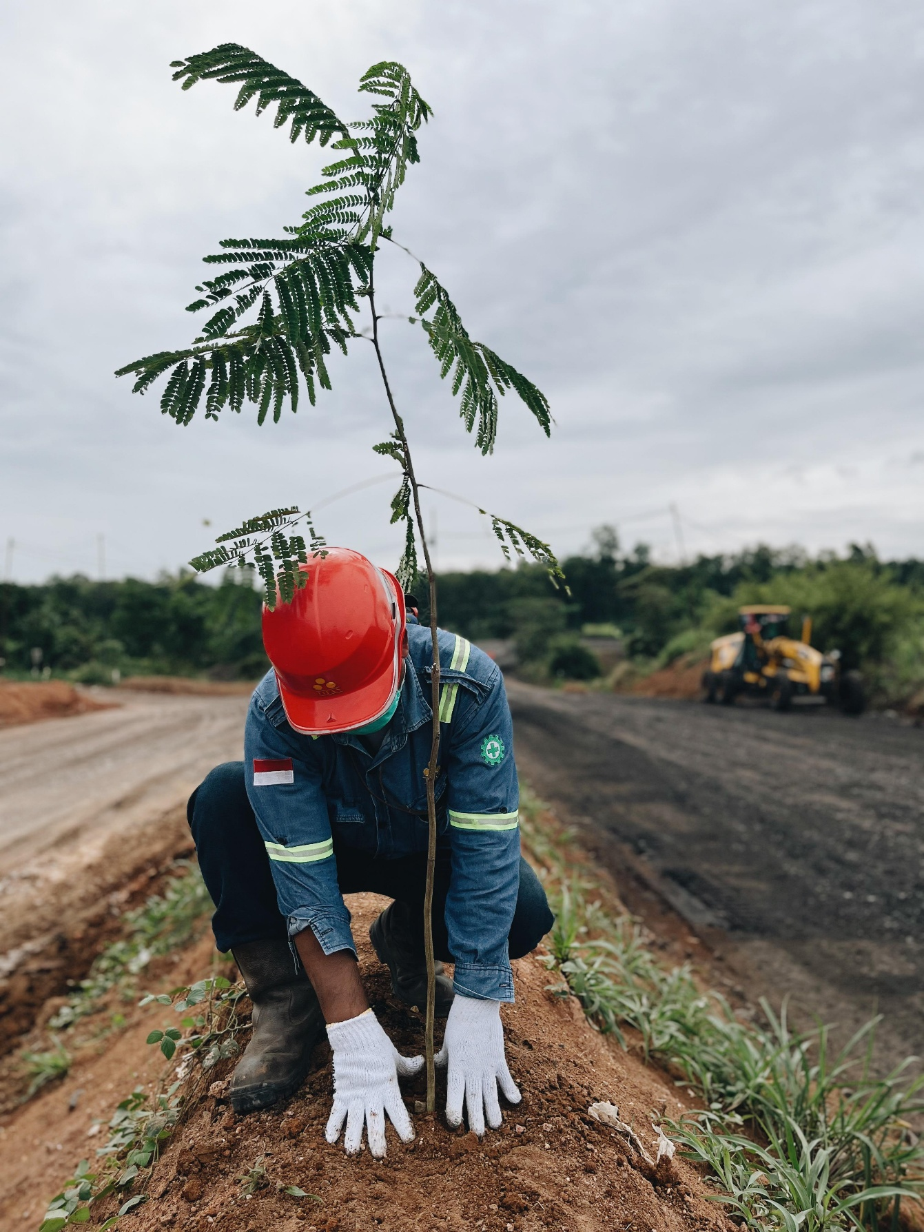 Biodiversity PT Servo Lintas Raya